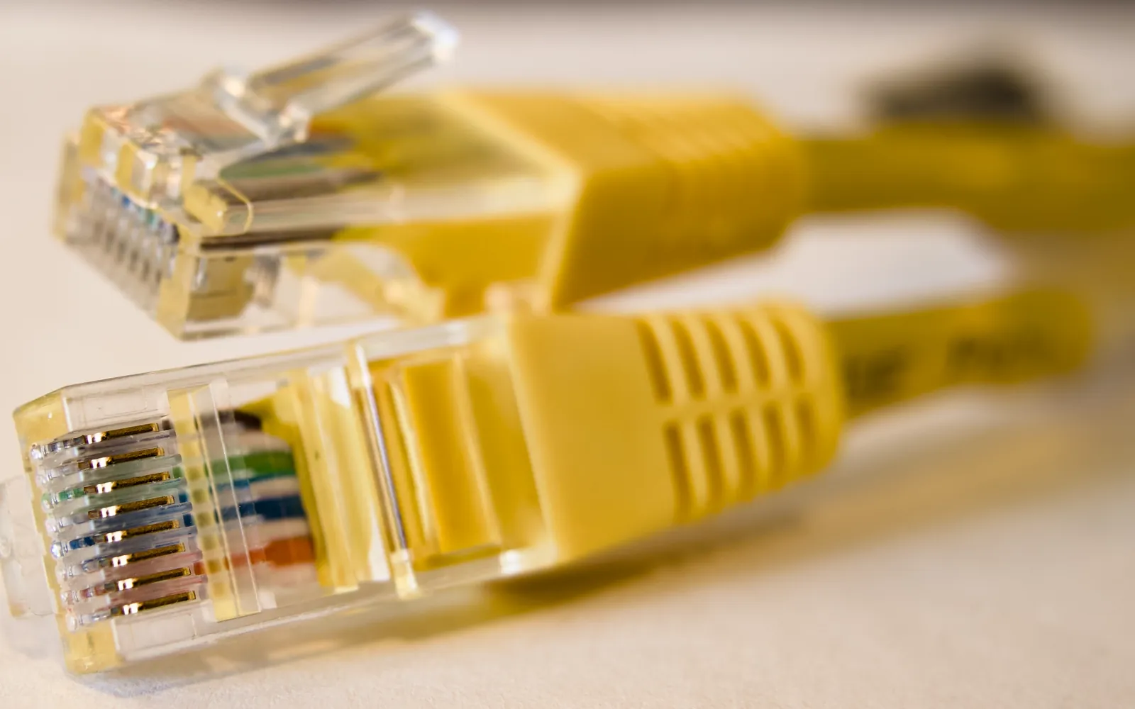 Two yellow network cable plugs side by side, close-up