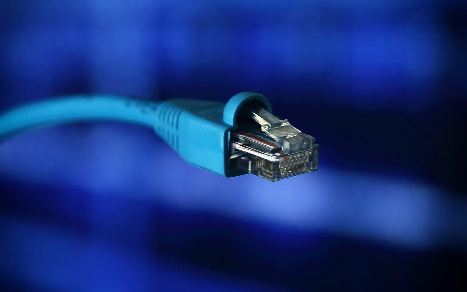Close-up of a blue network cable connector against a blue background